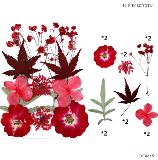 DF4315 DRY FLOWER SHEET | Dried Flower | Pressed Flowers